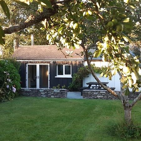 Cosy Cabin Near Lough Hyne Skibbereen Dış mekan fotoğraf